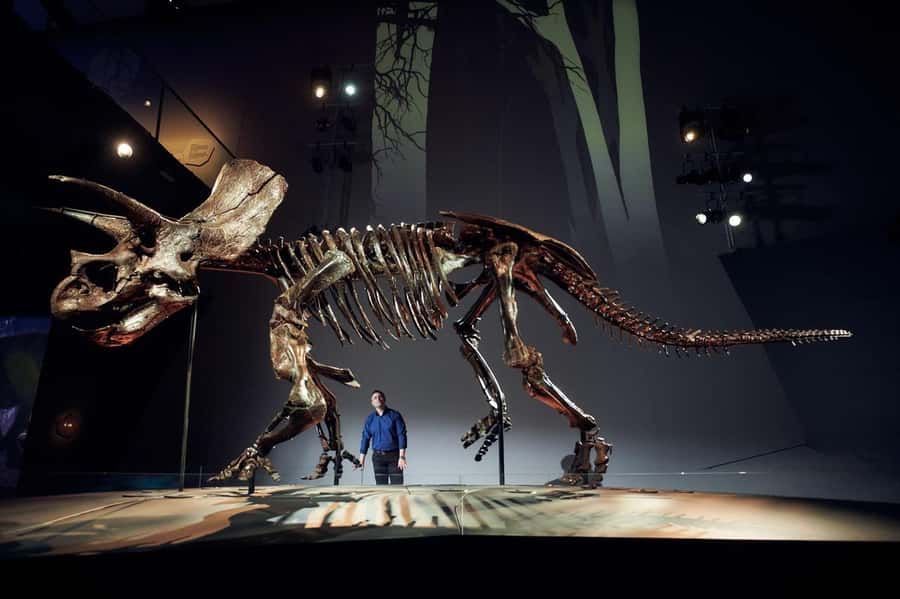 Melbourne: Melbourne Museum Entry Ticket - Why Horridus gives Melbourne Museum its wow factor