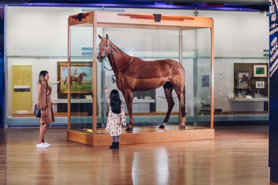 Melbourne: Melbourne Museum Entry Ticket - The Children’s Gallery for younger explorers