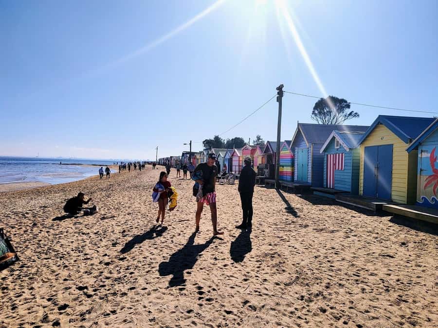 Melbourne: Moonlit Sanctuary and Brighton Beach Boxes Tour - Why this short tour works well in Melbourne