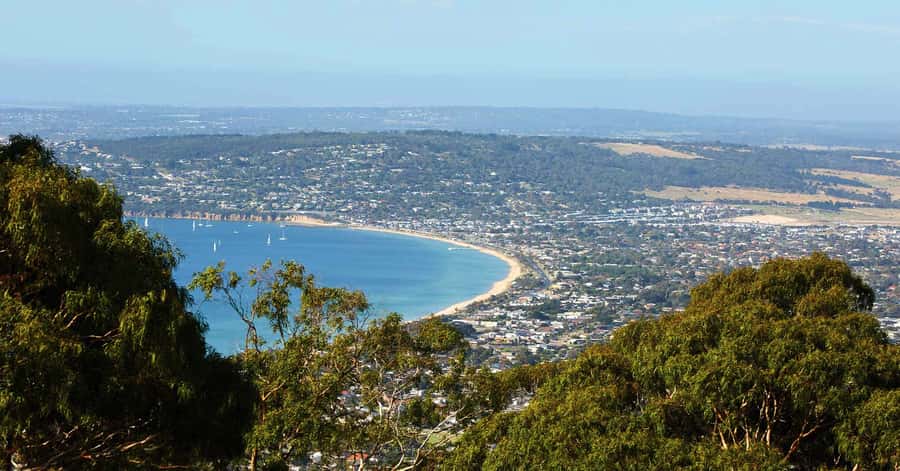 Melbourne/Mornington: Peninsula Hot Springs and Winery Tour - Green Olive Estate brings lunch and wine together