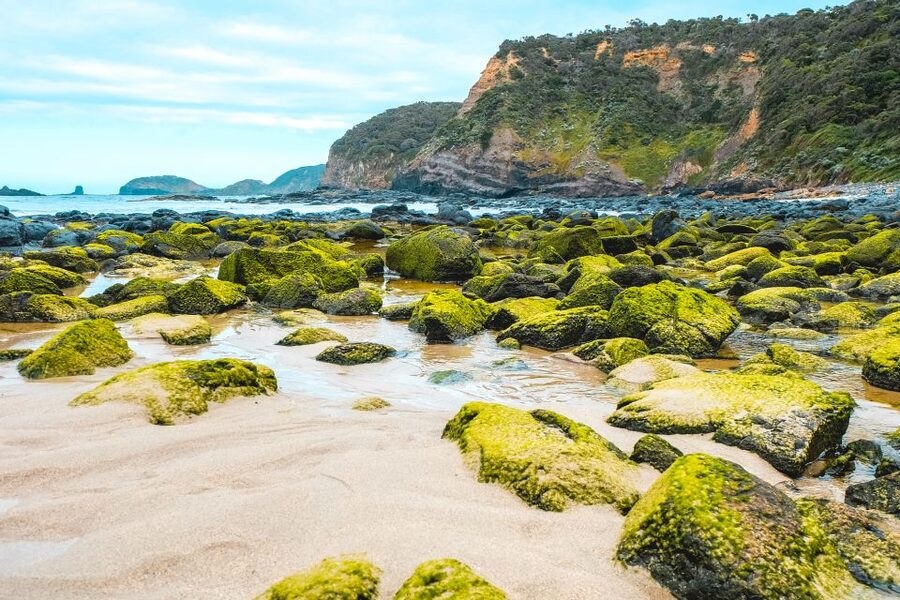 Melbourne: Mornington Peninsula & Hot Springs Tour 8 pax max - The cafe stop and your lunch budget