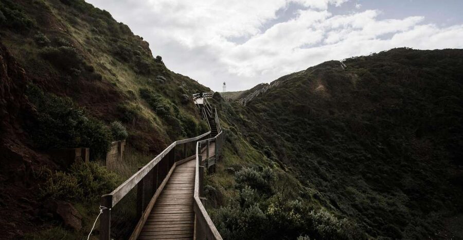 Melbourne: Mornington Peninsula & Hot Springs Tour 8 pax max - What the guides add to the day