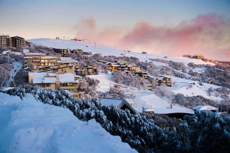 Melbourne: Mt Buller Snowy Escape Trip - 6 Hours of Snow Fun - Six hours of snow at Mt Buller