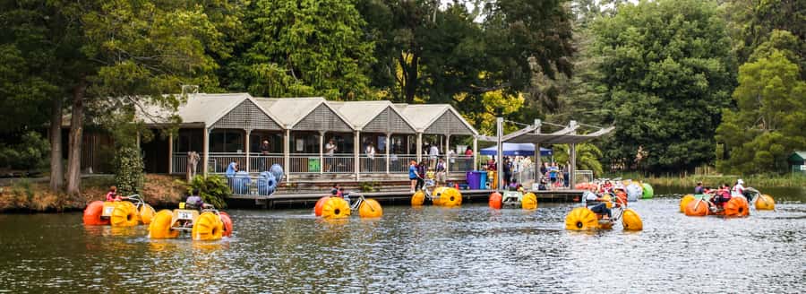 Melbourne: Puffing Billy & Healesville Sanctuary Scenic Tour - The guides make a real difference