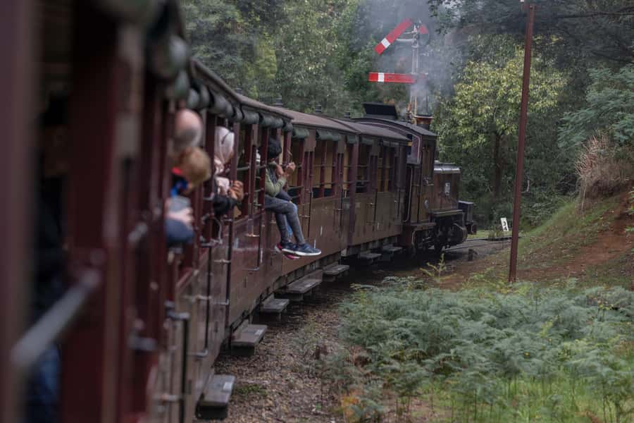 Melbourne: Puffing Billy Railway & Penguin Parade Day Tour - The Nobbies boardwalk and Bass Strait views