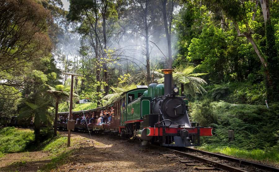 Melbourne: Puffing Billy Railway & Rainforest Tour - Guides, group comfort, and what to pack