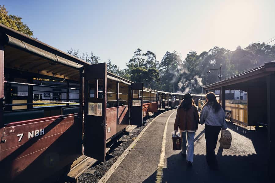 Melbourne: Puffing Billy Railway & Rainforest Tour - Grants Picnic Ground and the first taste of rainforest