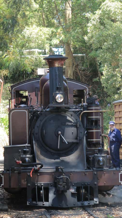 Melbourne: Puffing Billy Train and Penguin Island Day Tour - Key details before you book