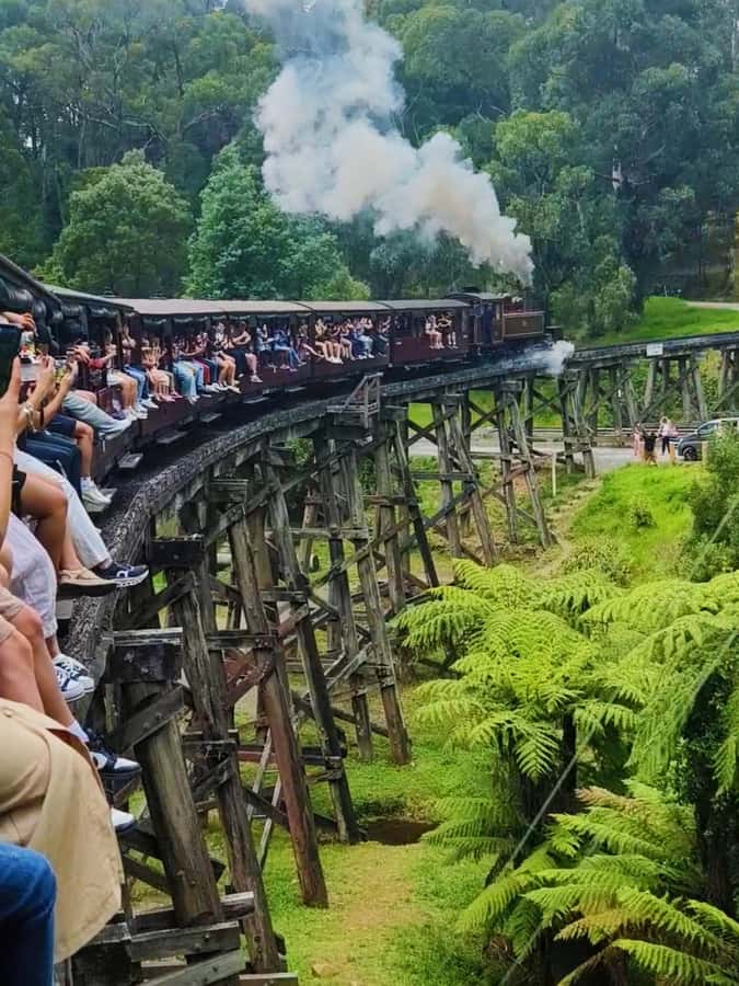 Melbourne: Puffing Billy Train and Penguin Island Day Tour - Why Puffing Billy and the penguins work well together
