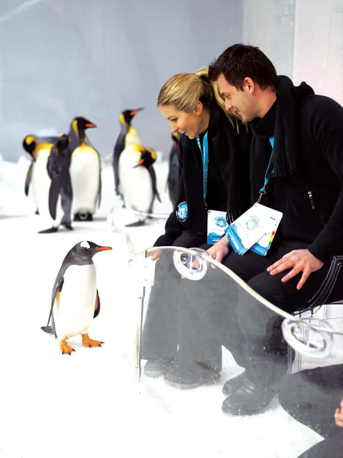 Melbourne: SEA LIFE Aquarium Entrance Ticket - Key points to know before you go