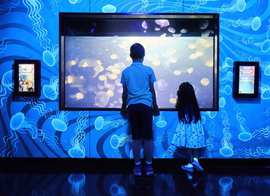 Melbourne: SEA LIFE Aquarium Entrance Ticket - Penguins provide the most cheerful finish