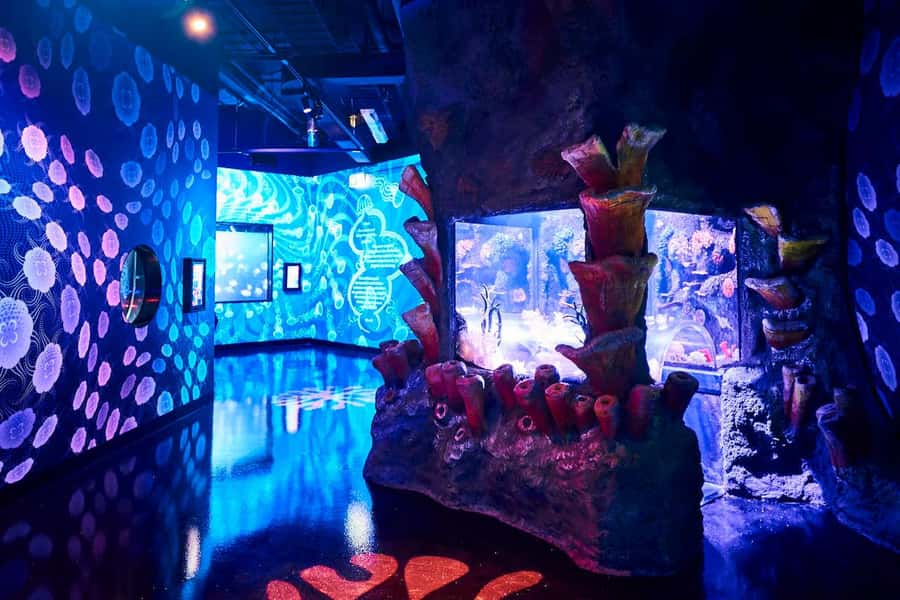 Melbourne: SEA LIFE Aquarium Entrance Ticket - Talks and hands-on areas make the visit more useful