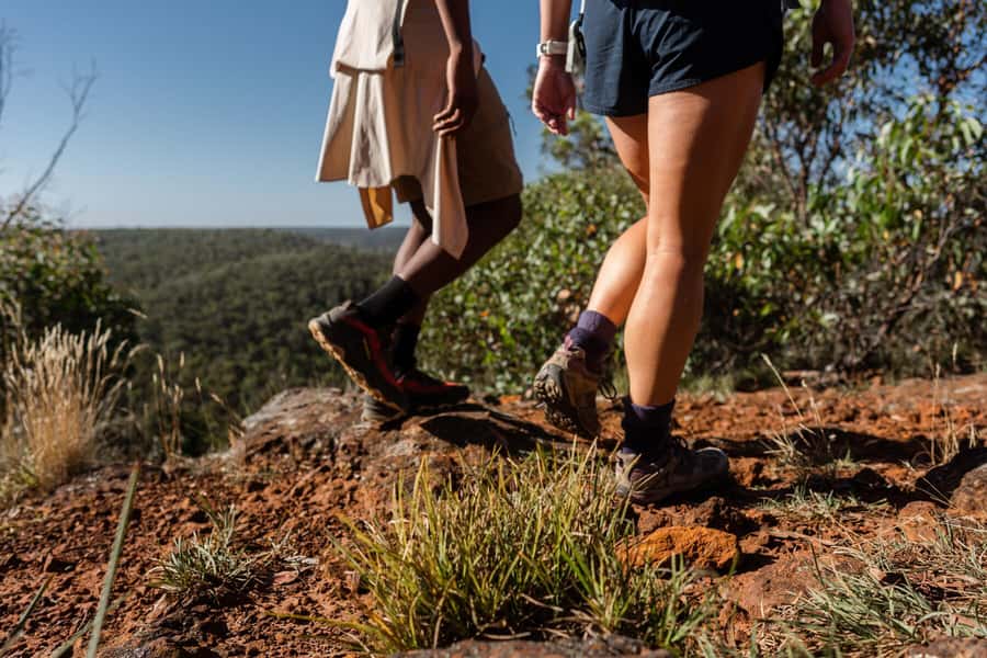 Melbourne to Adelaide: 2-Day Overland Explorer Tour - The 12 Apostles and the stories of the Shipwreck Coast