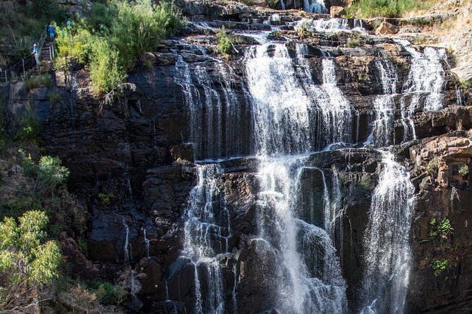 Melbourne to Adelaide: 3-Day Great Ocean Road Grampians Tour - The walking level and what to pack