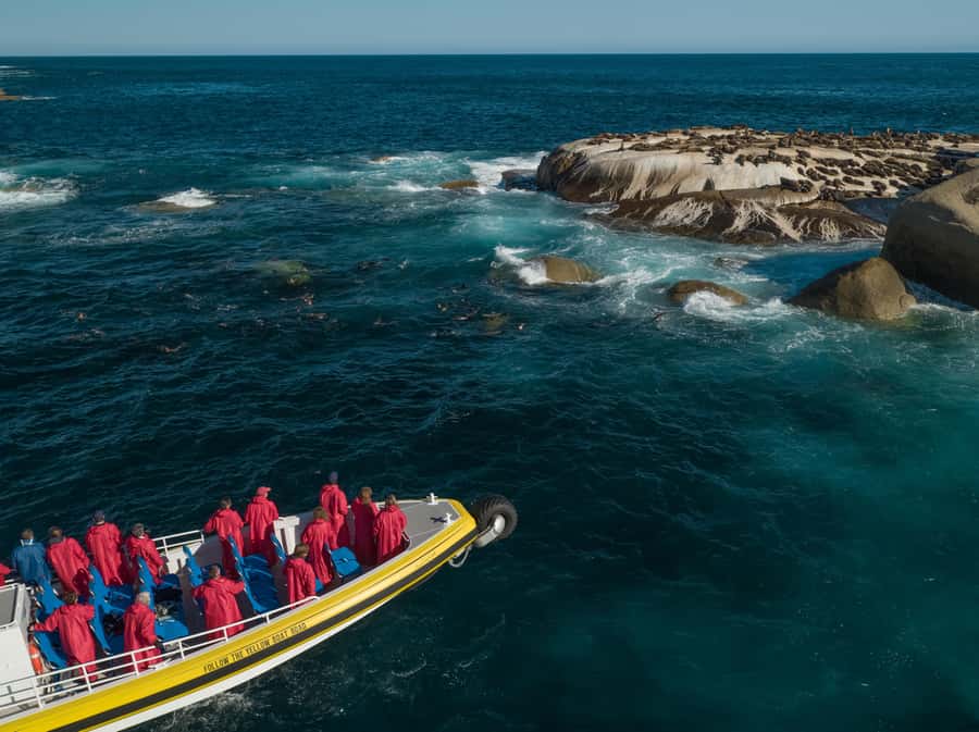 Melbourne: Wilsons Promontory Morning Wilderness Cruise - Why a boat trip changes your view of Wilsons Promontory