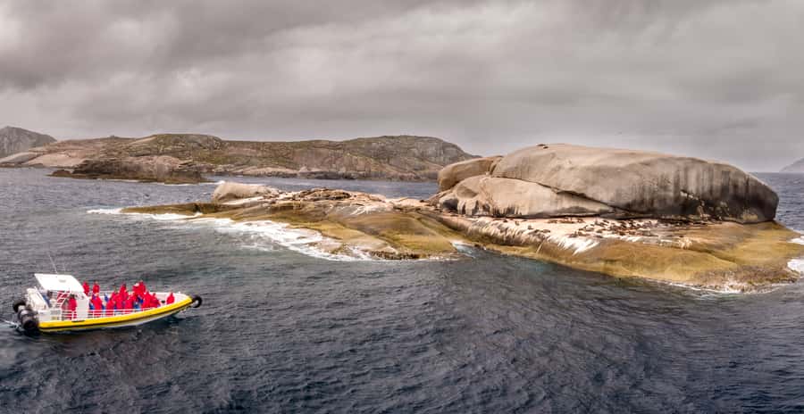 Melbourne: Wilsons Promontory Morning Wilderness Cruise - Who should book this cruise