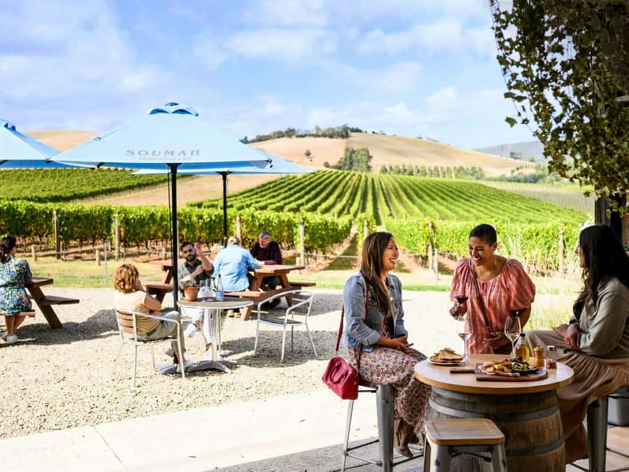 Melbourne: Yarra Valley Half-Day Wine Tour - Quick take: the details that matter