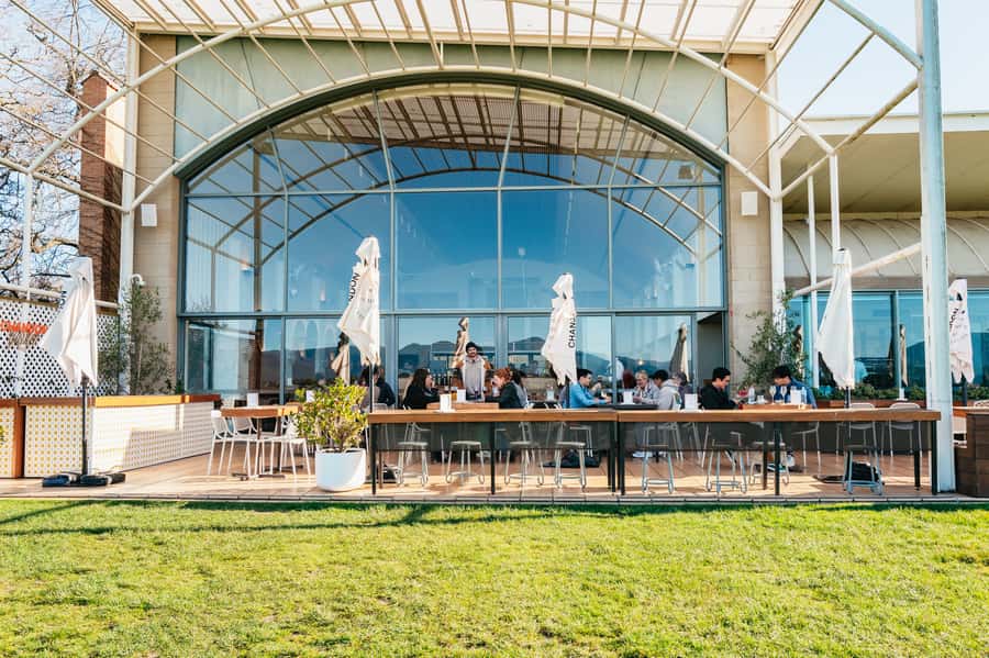 Melbourne: Yarra Valley Wine, Cider, Gin, Beer, & Choc Tour - Who will enjoy this day most