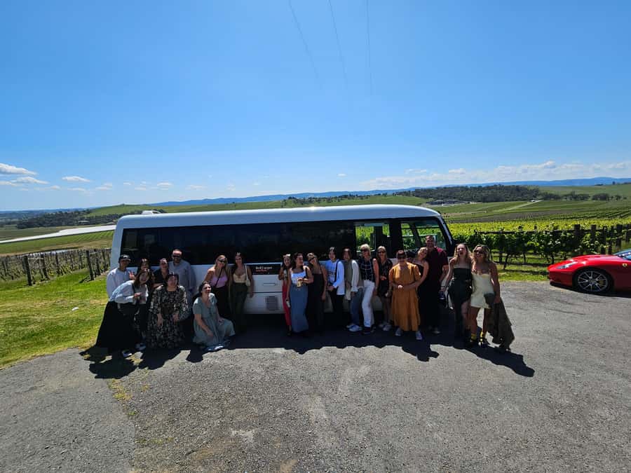 Melbourne: Yarra Valley Wine, Gin, Whisky and Chocolate Tour - Ten chocolates at the Yarra Valley Chocolaterie