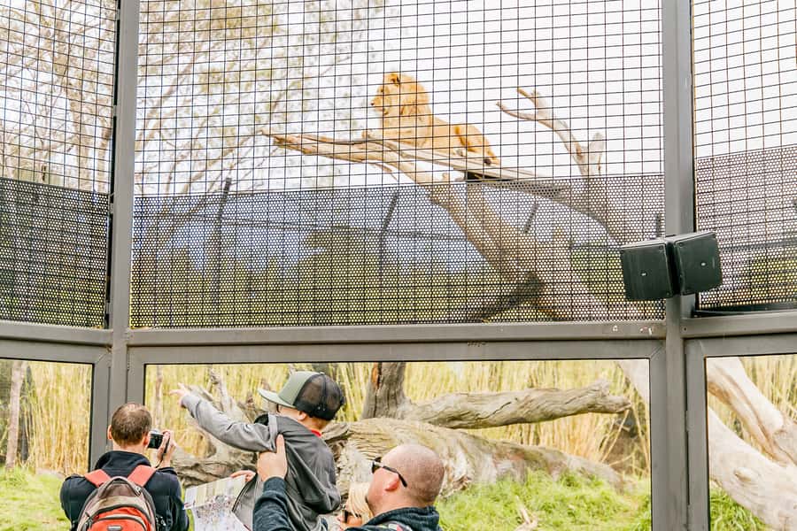 Melbourne Zoo: 1-Day Entry Ticket - Getting there from central Melbourne