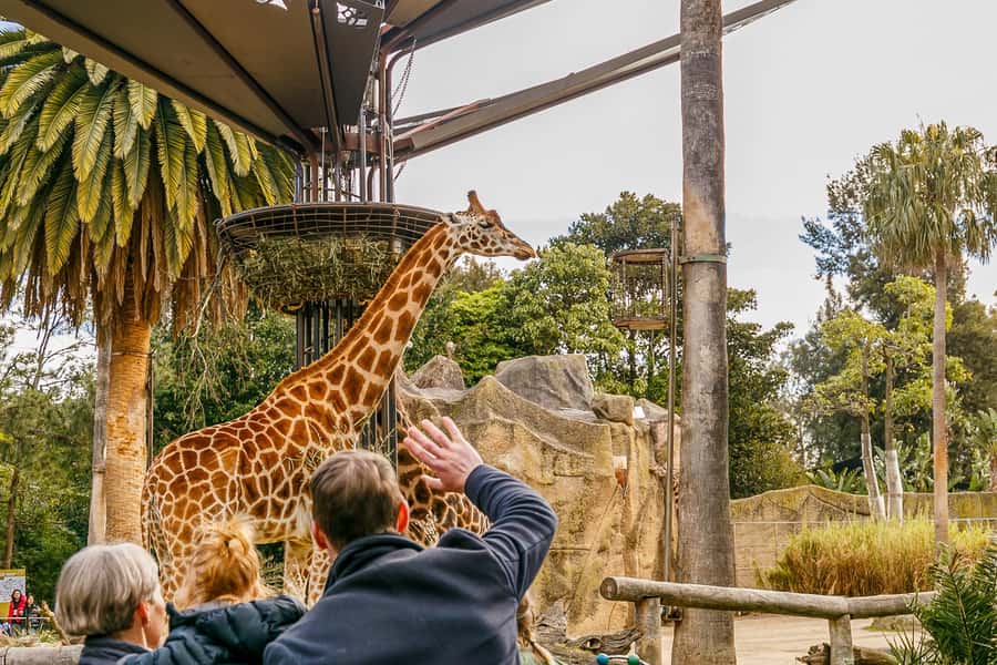 Melbourne Zoo: 1-Day Entry Ticket - Butterfly House and the smaller encounters