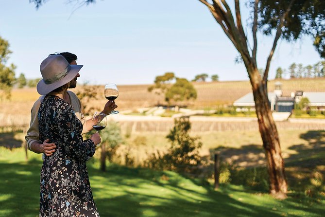 Micro-Group McLaren Vale Wine Tour from Adelaide - Why this McLaren Vale tour works well