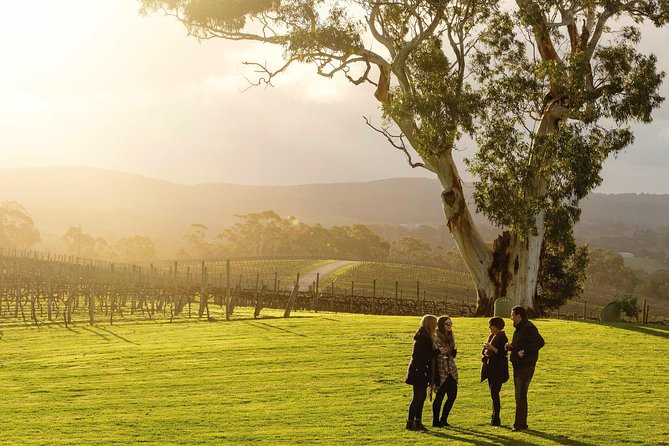 Micro-Group McLaren Vale Wine Tour from Adelaide - A proper restaurant lunch in McLaren Vale