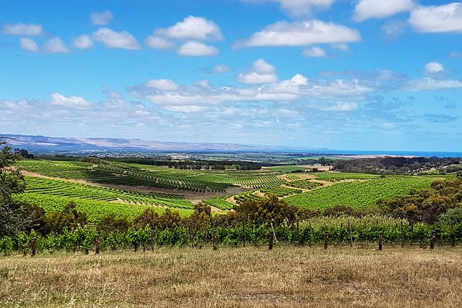 Micro-Group McLaren Vale Wine Tour from Adelaide - d’Arenberg Cube, photos, and the choice between famous and small