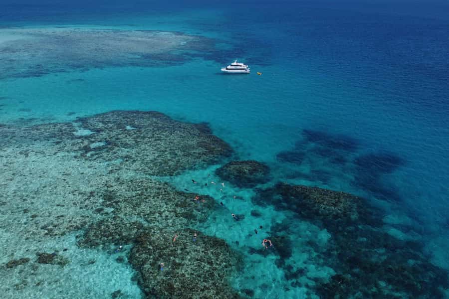 Mission Beach: Outer Great Barrier Reef & Dunk Island Tour - Key points to know before booking
