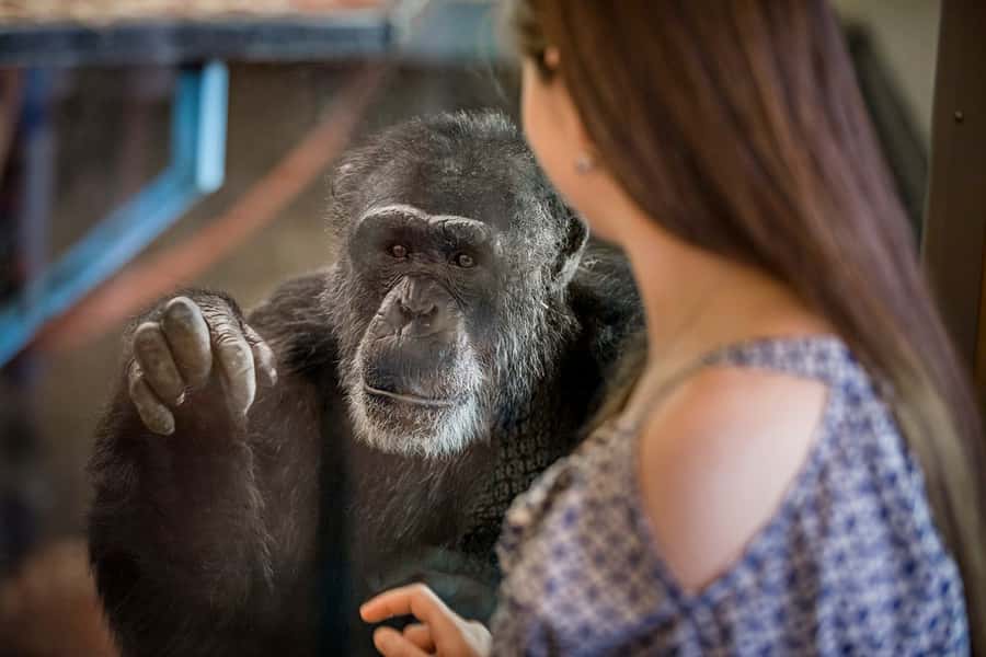 Monarto Safari Park: General Admission Tickets - Key points for planning your Monarto day
