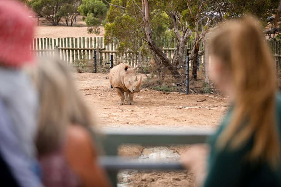 Monarto Safari Park: General Admission Tickets - How to make the most of the 9:30 to 17:00 opening hours