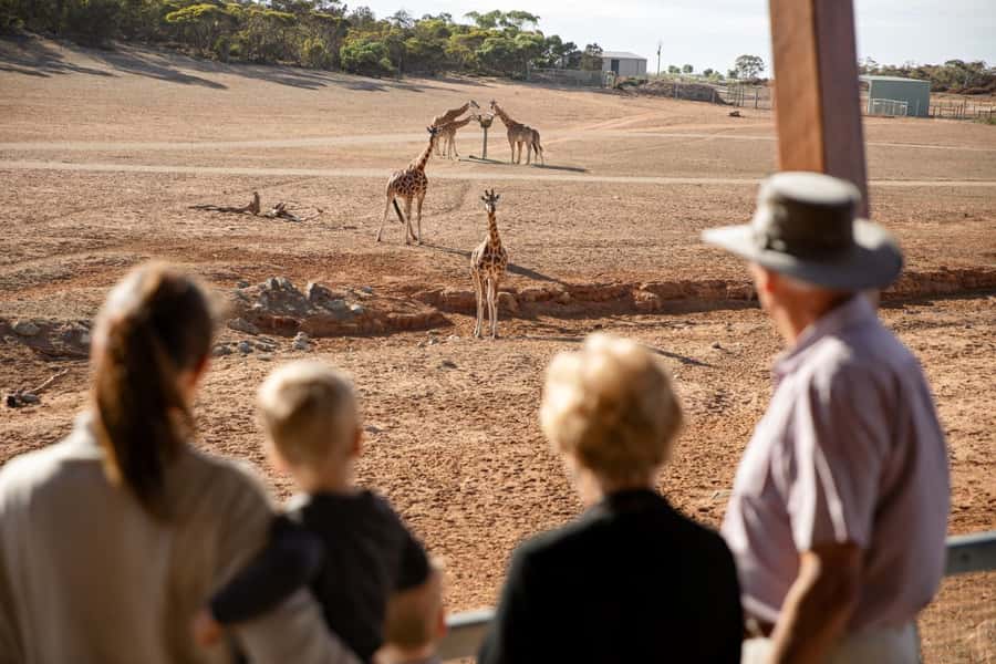 Monarto Safari Park: General Admission Tickets - Riding the Zu-loop shuttle between animal areas