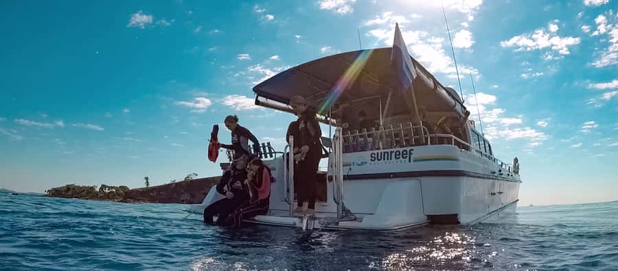 Mooloolaba: Snorkel with Turtles Mudjimba Island - What you see around Mudjimba Island
