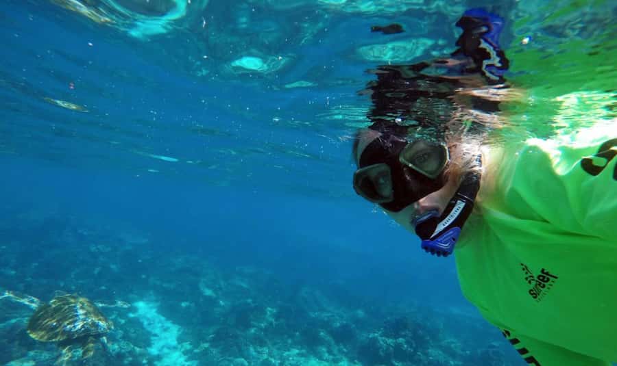 Mooloolaba: Snorkel with Turtles Mudjimba Island - Is $63 good value for this Mooloolaba outing?
