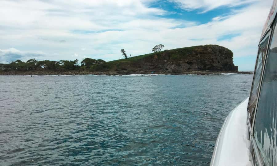 Mooloolaba: Snorkel with Turtles Mudjimba Island - Who will enjoy this most?