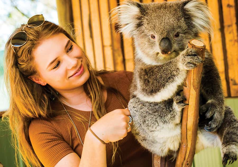 Moonlit Sanctuary Conservation Park Entry Ticket - Key points to know before you go
