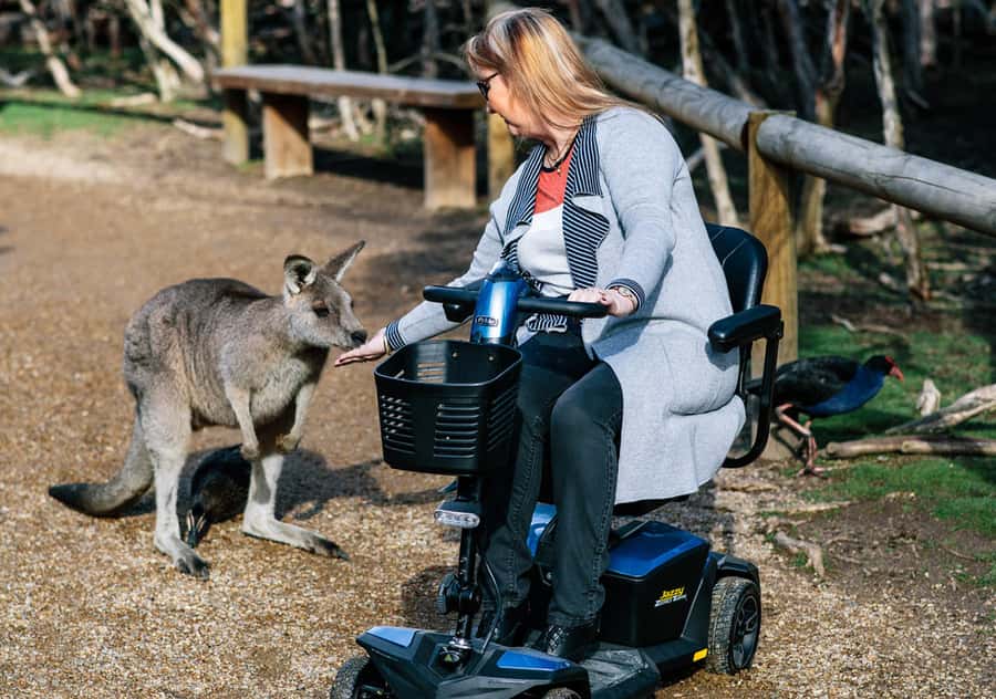 Moonlit Sanctuary Conservation Park Entry Ticket - Small tips for a better animal day