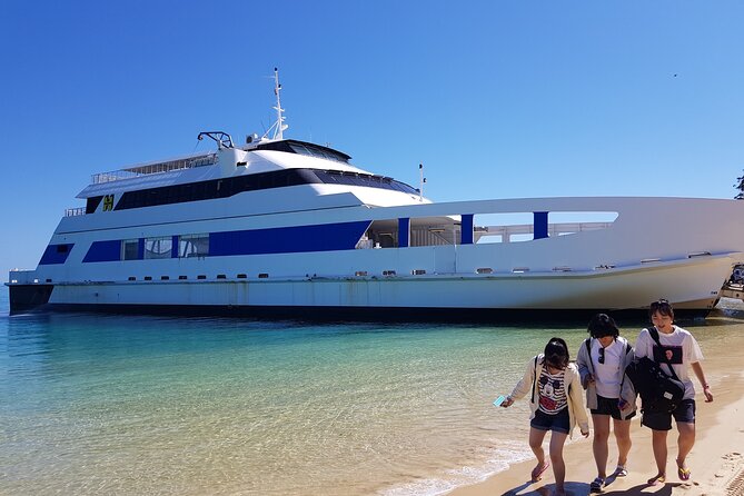 Moreton Island Day Trip (Kayak, Snorkel & Sandboard) frm Brisbane or Gold Coast - Snorkeling with Ryan and the water team