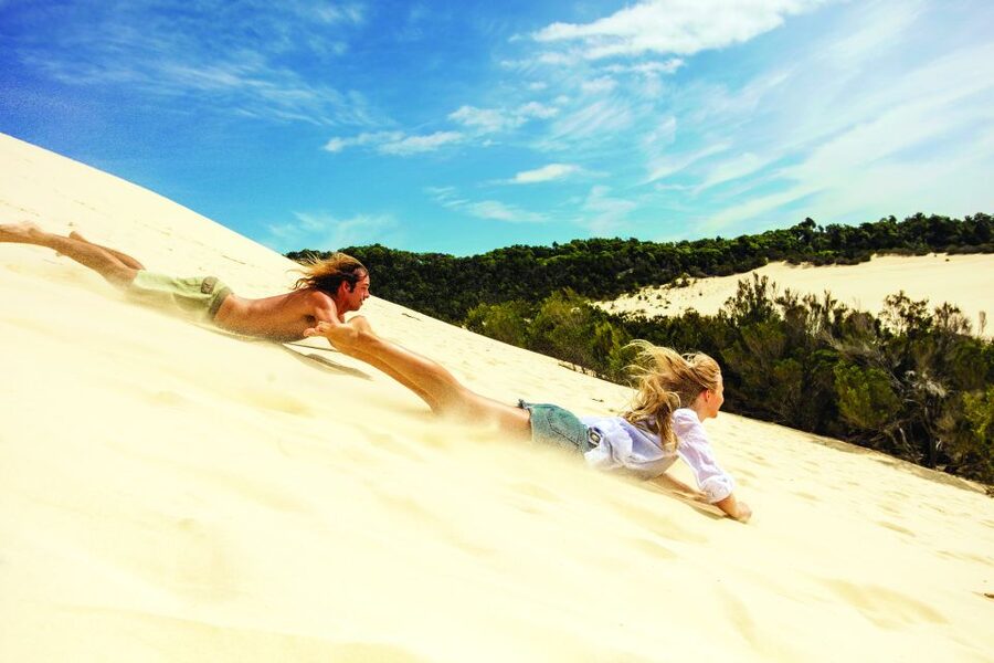 Moreton Island: Desert Safari Tour & Dolphin Viewing - Wild Dolphins at Tangalooma Jetty