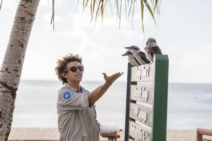 Moreton Island: Desert Safari Tour & Dolphin Viewing - Who Will Enjoy This Day Most