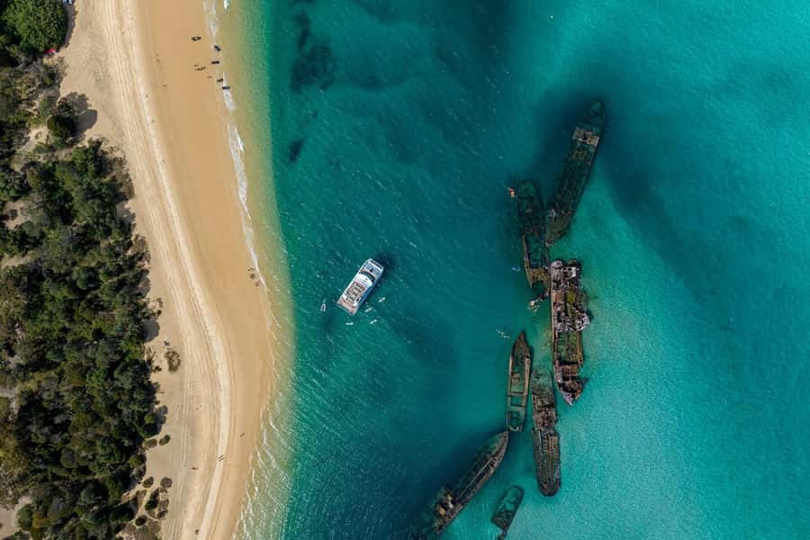 Moreton Island: Dolphin & Tangalooma Wrecks Snorkel Cruise - How the five-hour Moreton Island visit works