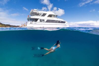 Dolphin & Tangalooma Wrecks Snorkel Cruise