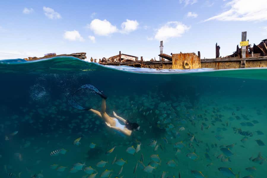 Moreton Island: Dolphin & Tangalooma Wrecks Snorkel Cruise - Who should book this Moreton Island cruise?