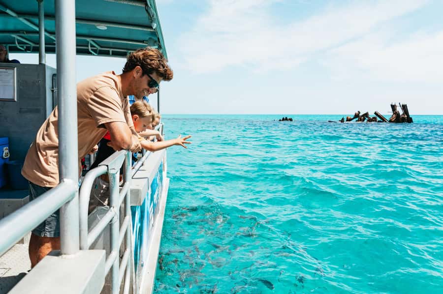 Moreton Island: Marine Discovery Cruise & Dolphin Feeding - The ferry from Holt Street Wharf sets the tone