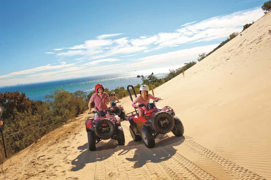 Moreton Island: Tangalooma ATV Quad Bike & Dolphin Feeding - Practical tips for getting the most from the day