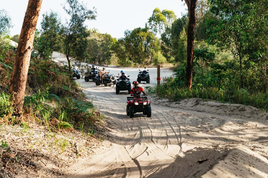 Moreton Island: Tangalooma Day Trip with ATV Quad Bike Tour - The dolphin presentation at 3:15pm