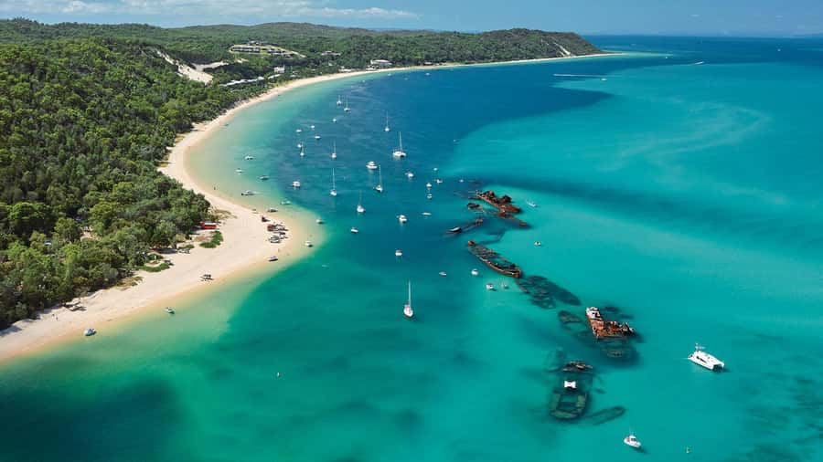 Moreton Island: Tangalooma Day Trip with ATV Quad Bike Tour - Who will enjoy this day most