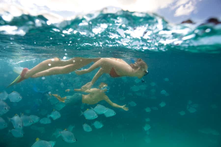 Moreton Island: Tangalooma Day Trip with Snorkeling Tour - Lunch comes as a useful $25 voucher