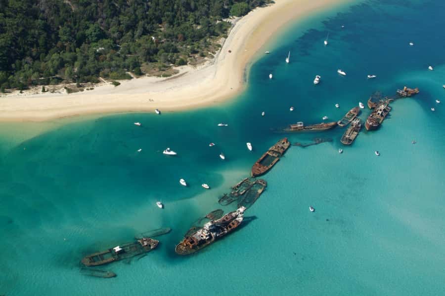 Moreton Island: Tangalooma Day Trip with Snorkeling Tour - What 30 minutes in the water really means
