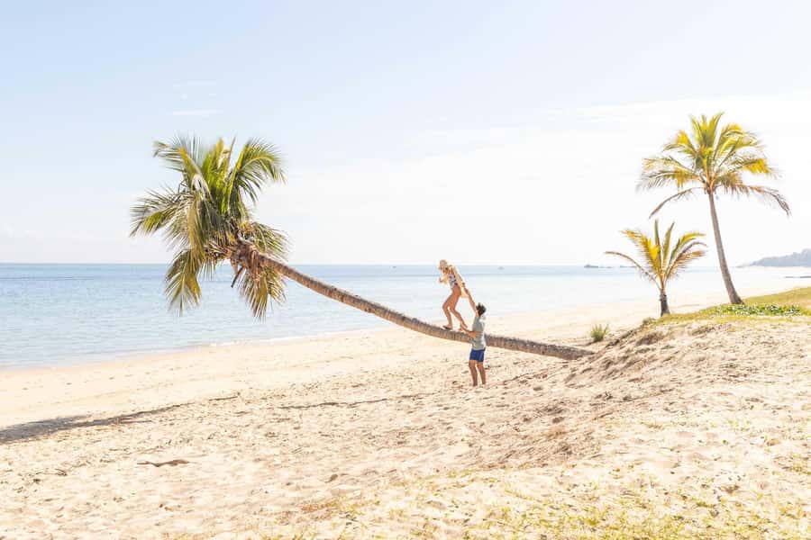 Moreton Island: Tangalooma Day Trip with Snorkeling Tour - The return ferry leaves at 4pm